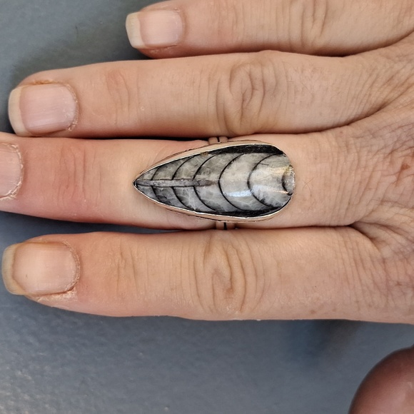 New Orthoceras Fossil 925 Silver Ring. - Picture 12 of 12